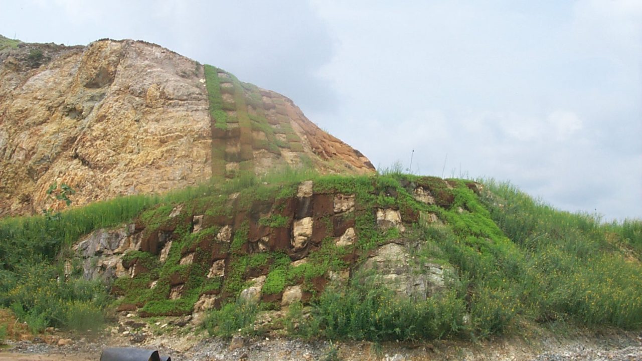 Cocomesh sebagai solusi ekologis