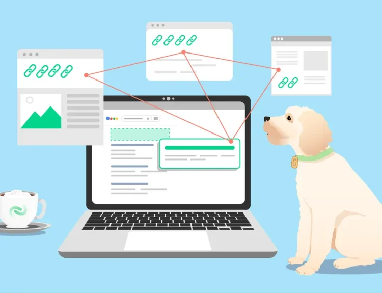 Panduan audit backlink PBN untuk website