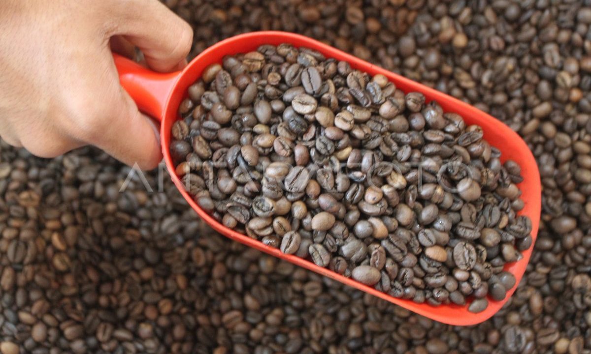 cara kerja oven pengering biji kopi otomatis