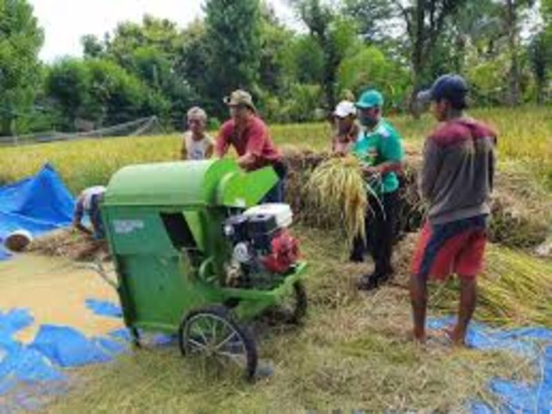 usaha tani dengan power thresher