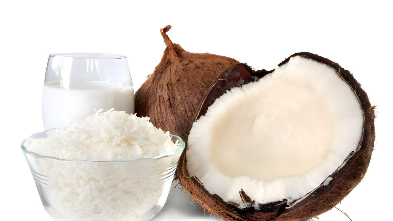 mesin parut kelapa kapasitas besar