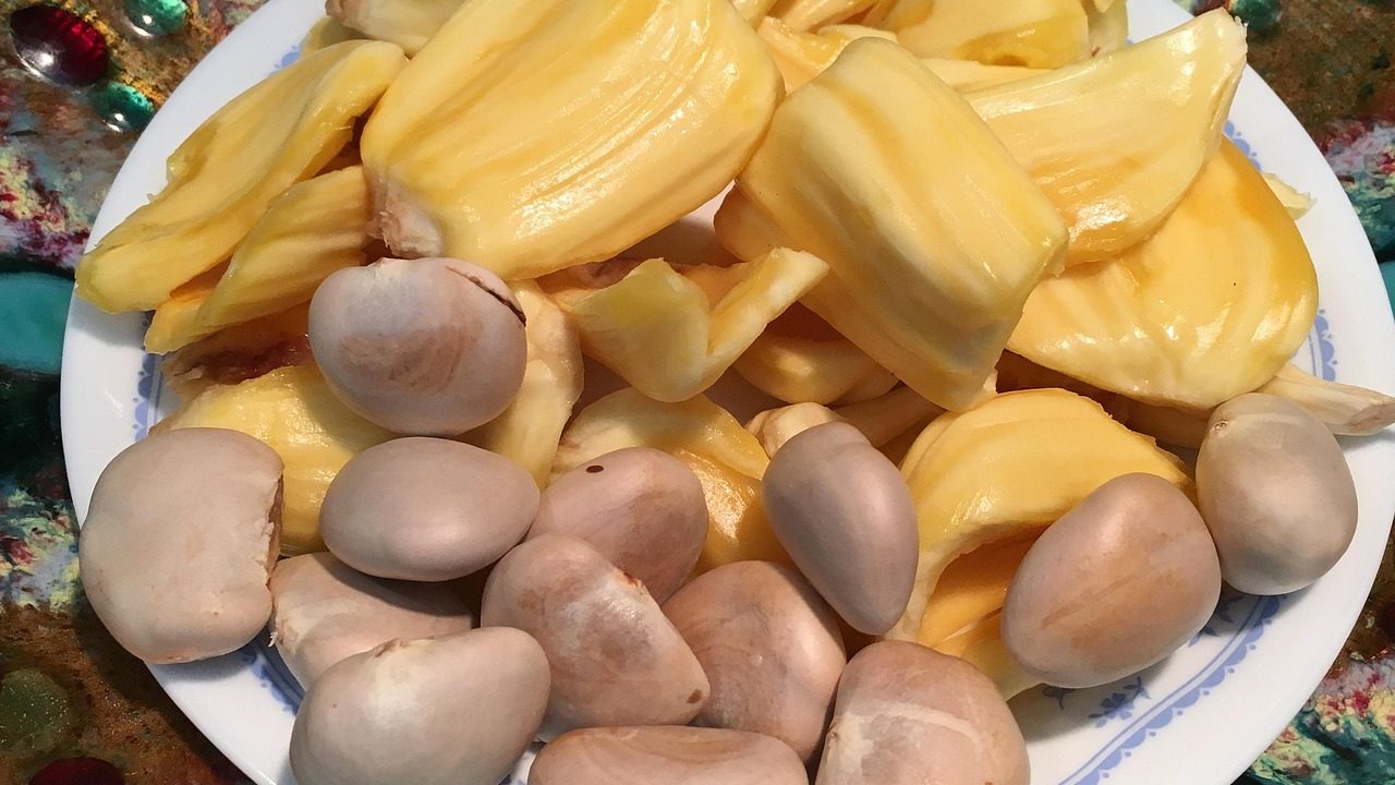 ide camilan biji nangka rebus
