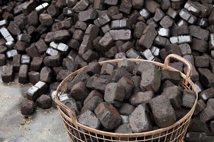 eco briquette alternative energy