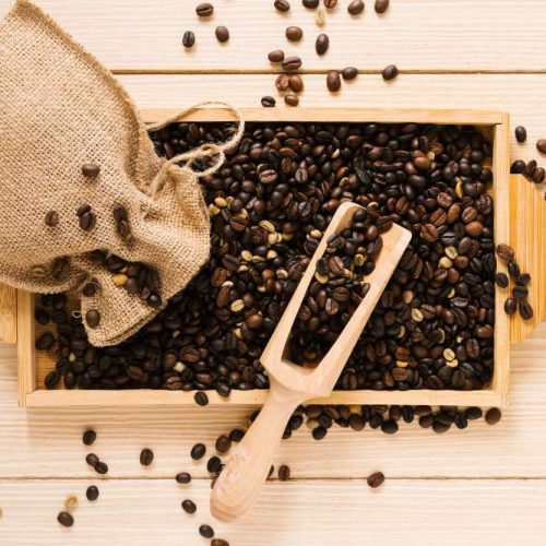 harga biji kopi organik