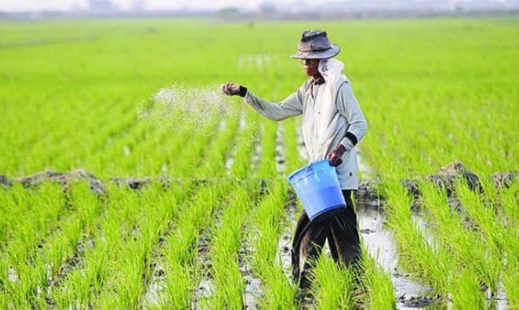 usaha pengolahan hasil panen