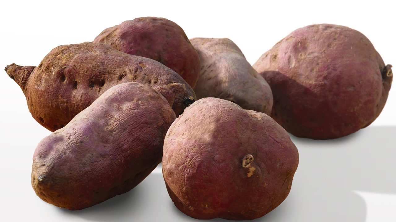 mesin pengiris ubi otomatis