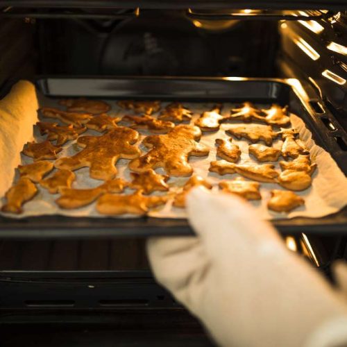 Manfaat Oven Pengering Makanan