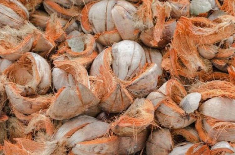 sabut kelapa