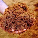 Cara Membuat Cocopeat Dari Sabut Kelapa Yang Berkualitas