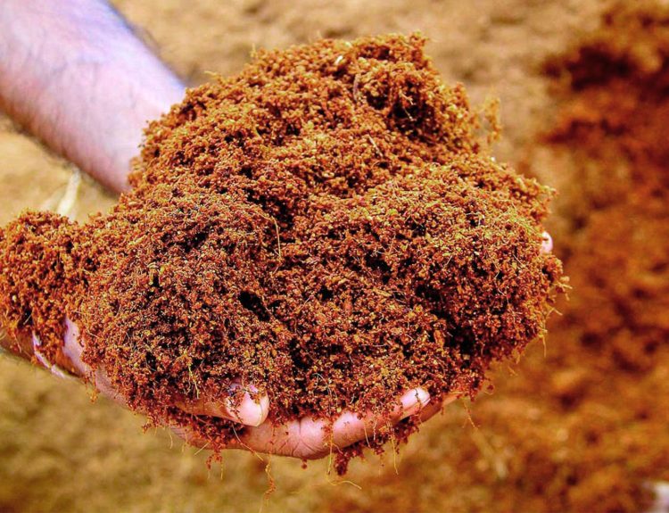 Cara Membuat Cocopeat Dari Sabut Kelapa Yang Berkualitas