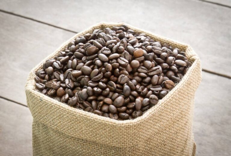 Cara Mengupas Kopi Basah Cepat Agar Hasil Lebih Efisien