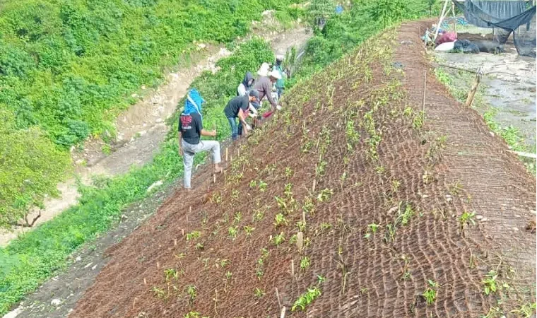 Mengoptimalkan Lahan Budidaya Lewat Cocomesh Sabut Kelapa untuk Perkebunan Hijau