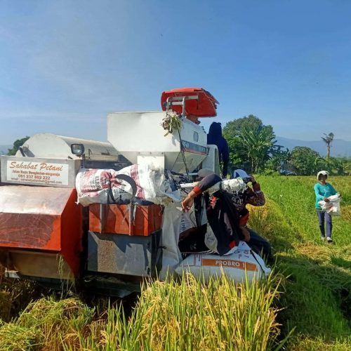 Tips Memilih Mesin Panen Padi Untuk Petani