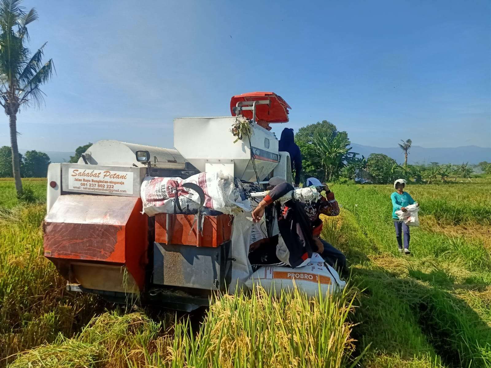 Tips Memilih Mesin Panen Padi Untuk Petani