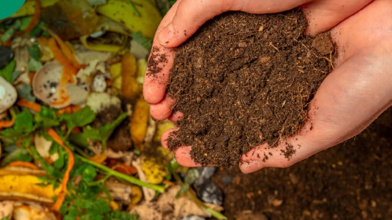 Alat Pengolah Limbah Kebun Praktis untuk Mendukung Pengolahan Organik