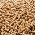 Peluang Usaha Produksi Pakan Ternak yang Menjanjikan