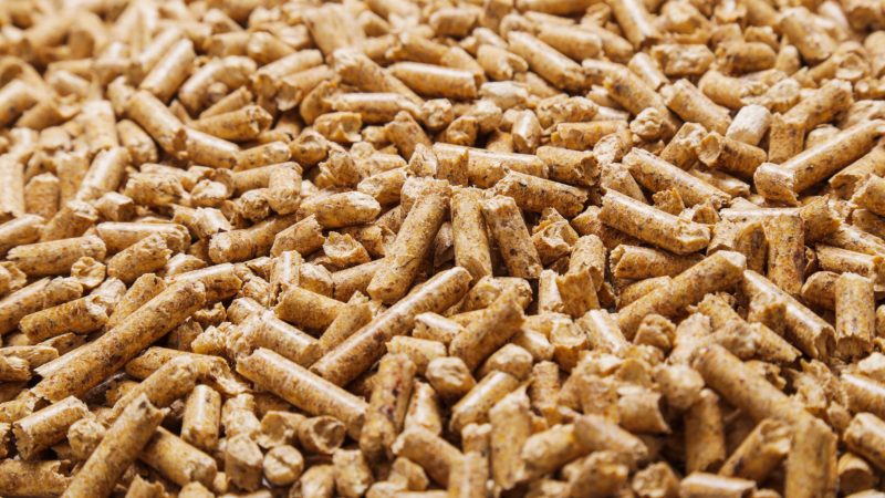 Peluang Usaha Produksi Pakan Ternak yang Menjanjikan