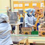 Jual Timbangan Platform untuk Pabrik dengan Material Kokoh