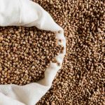 5 Tips Mempercepat Proses Pengeringan Hasil Panen Tanpa Merusak Biji