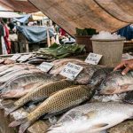 Jenis Ikan Konsumsi Paling Laris dengan Permintaan Tinggi Sepanjang Tahun