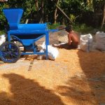 Solusi Menghemat Waktu Pemipilan Jagung agar Proses Pascapanen Lebih Efisien