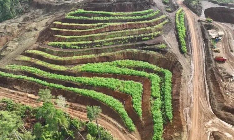 Indikator Kualitas Tanah Pasca Reklamasi untuk Menilai Keberhasilan Pemulihan Lahan