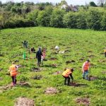 Pentingnya Stabilisasi Lahan Bekas Tambang dalam Proses Reklamasi
