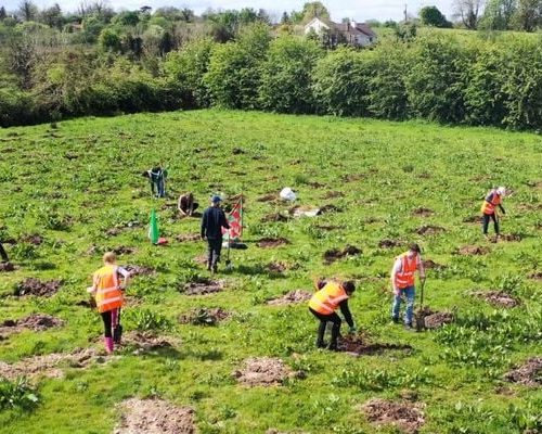 Pentingnya stabilisasi lahan bekas tambang