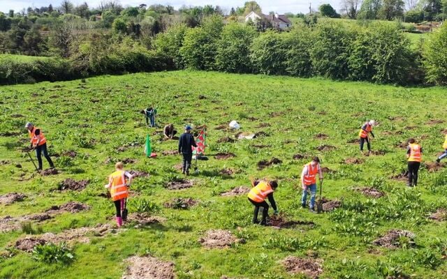 Pentingnya stabilisasi lahan bekas tambang
