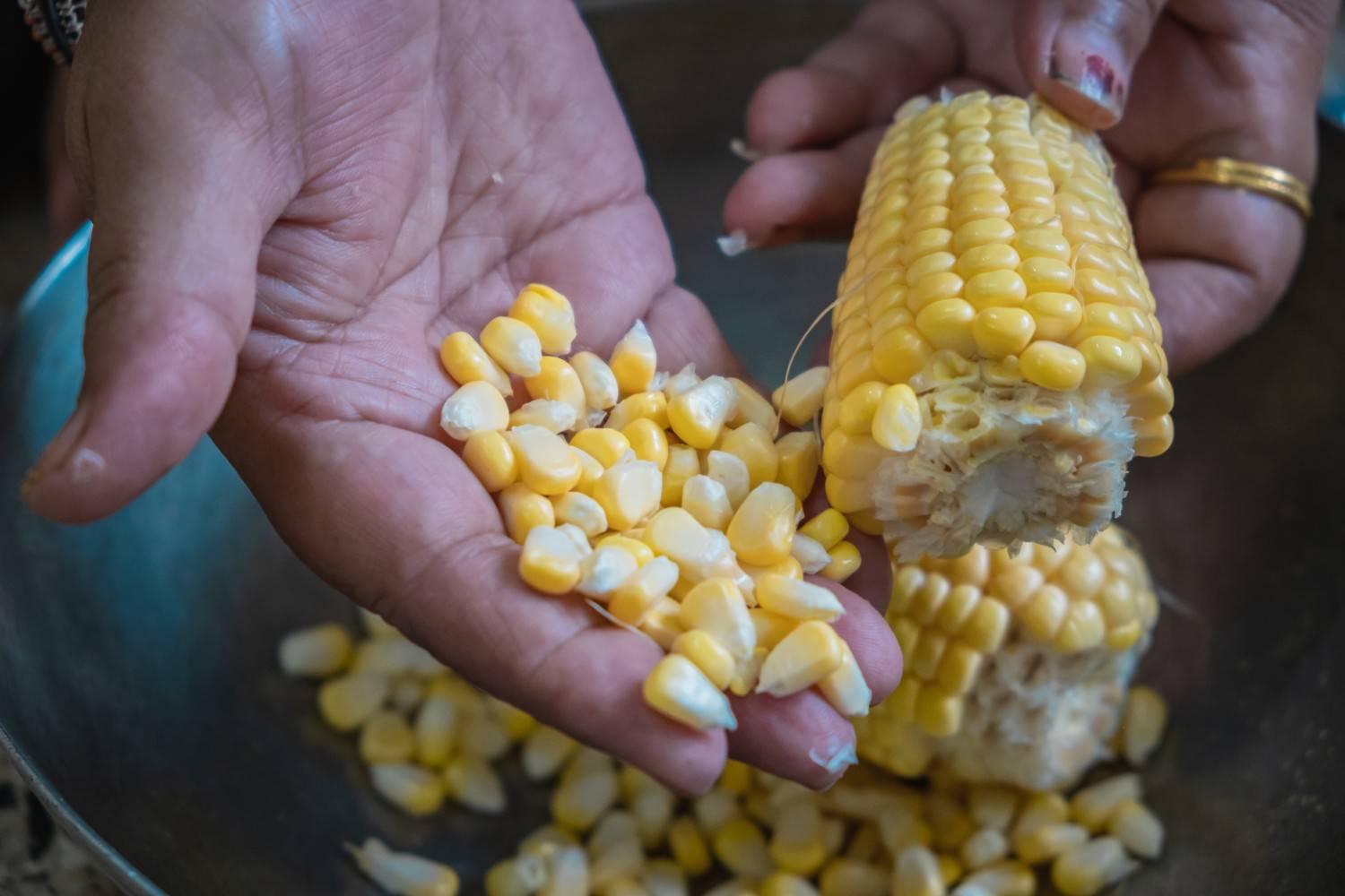 solusi mempercepat pemisahan biji jagung