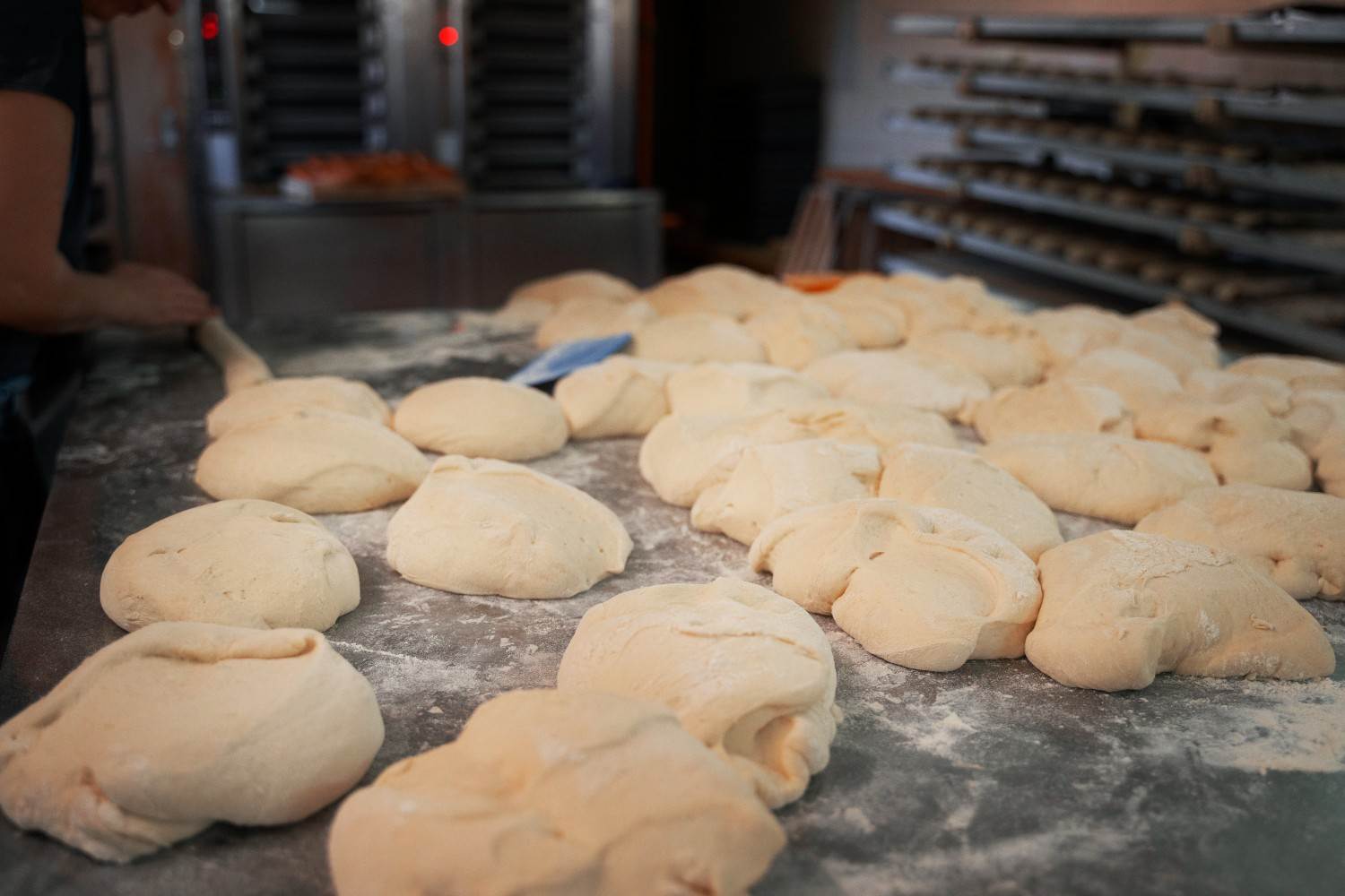 fermentasi adonan roti