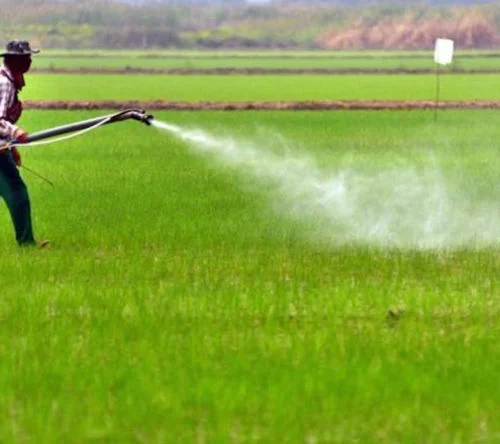cara meningkatkan cakupan penyemprotan tanaman