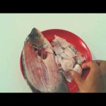 Cara Memisahkan Daging Ikan dari Duri dengan Cepat dan Mudah