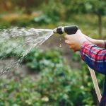 Tips Memilih Pompa Air Irigasi agar Pengairan Lahan Lebih Efisien