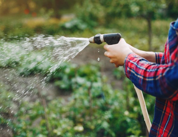 tips memilih pompa air irigasi