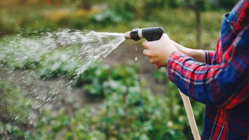Tips Memilih Pompa Air Irigasi agar Pengairan Lahan Lebih Efisien