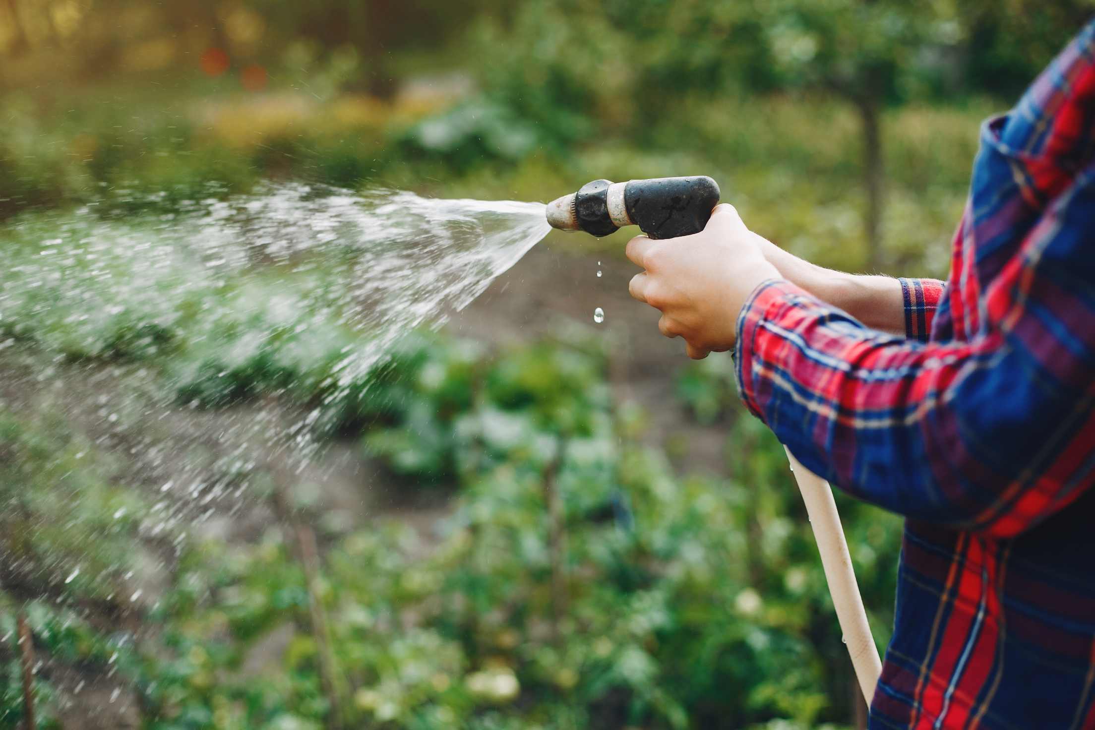tips memilih pompa air irigasi