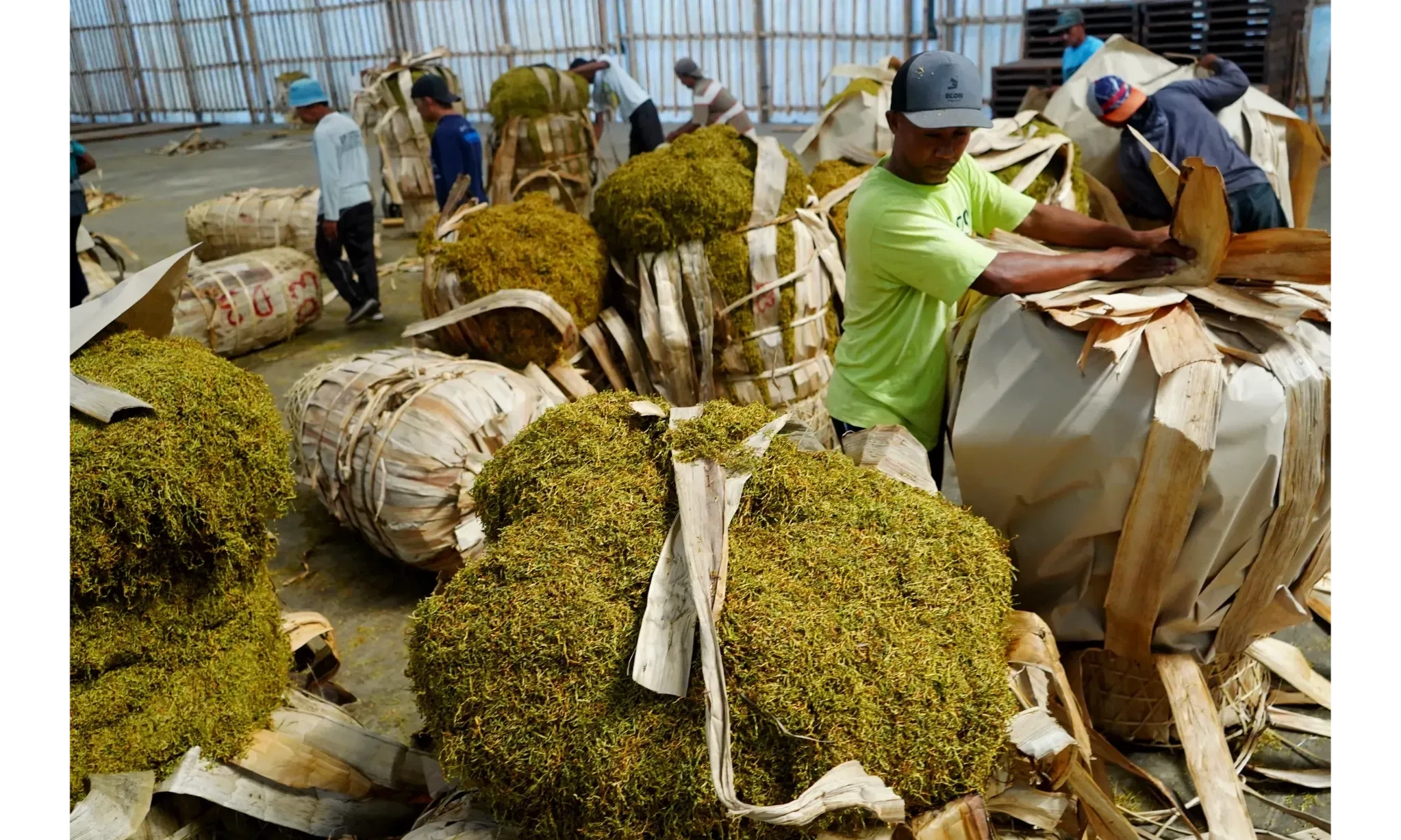 Penyebab hasil perajangan bahan pertanian tidak seragam
