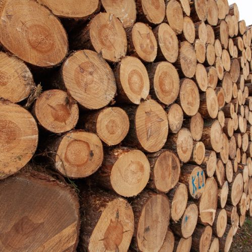 tips memilih bahan kayu untuk bubut