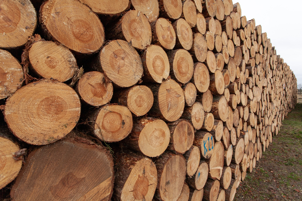 tips memilih bahan kayu untuk bubut