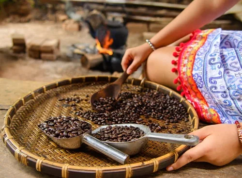 Cara Mengolah Biji Kopi