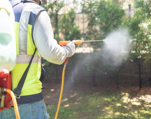 tips merawat hand sprayer elektrik