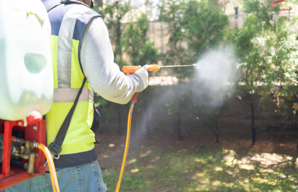 tips merawat hand sprayer elektrik