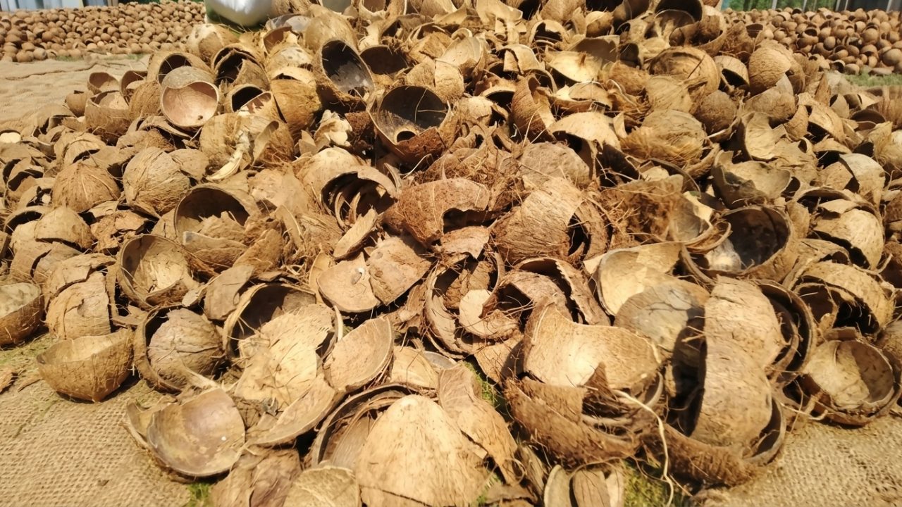 limbah batok kelapa dimanfaatkan