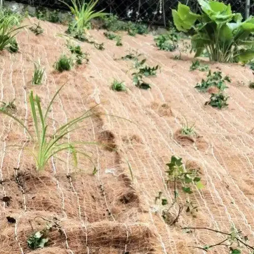cara melindungi benih dari erosi permukaan