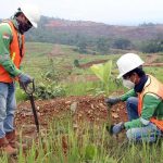 Rehabilitasi Lahan Tambang untuk Memulihkan Kondisi Tanah