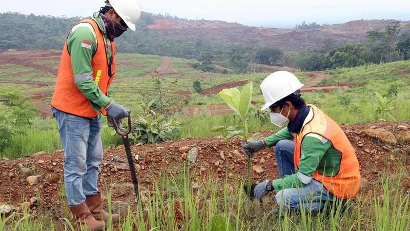 Rehabilitasi Lahan Tambang untuk Memulihkan Kondisi Tanah