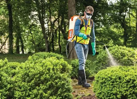 teknik penyemprotan tanaman yang tepat