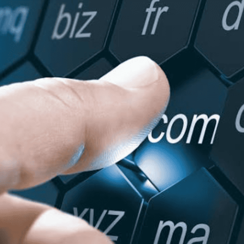 Pengelolaan Domain Website