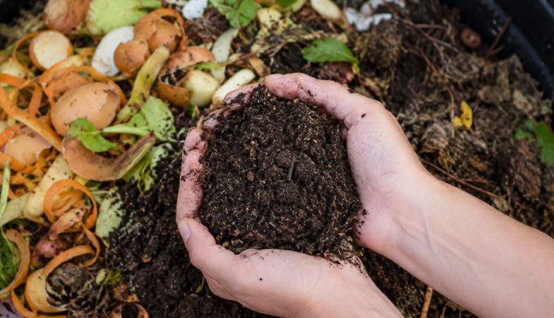Cara Mengolah Limbah Dapur Menjadi Bahan yang Bermanfaat